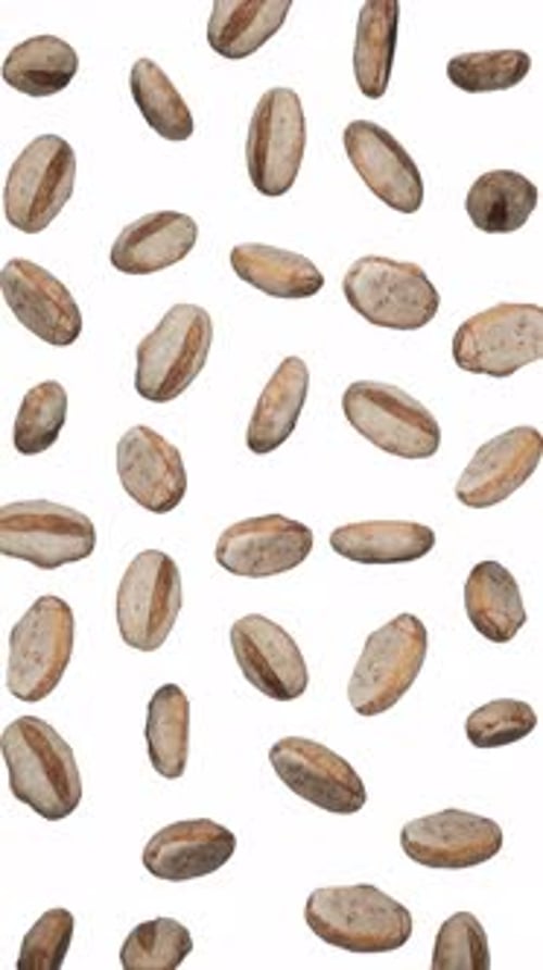 Falling Rotating Oval Bread Loaves Loop Animation