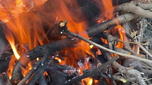 Un foyer avec un feu de bois qui fait rage
