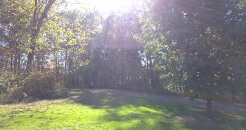 Person walking and exercising on a pathway at a park in the woods. Shot in 4k.