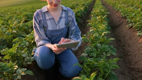 Farmer Using Tablet in Field