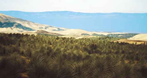 Dynamic Desert Landscape with Swaying Plants and Distant Mountains