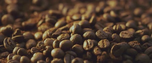 Mound of organic coffee beans
