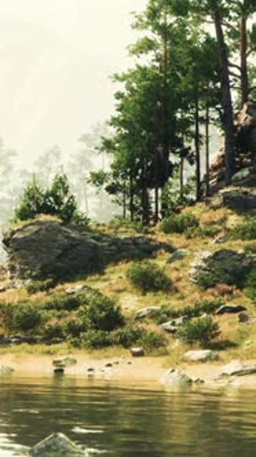 A Scenic River Flowing Through a Vibrant Green Forest