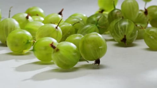 Grüne Bio-Beeren Stachelbeeren Traditionelle russische Beeren Stachelbeer-Nahaufnahme-Hintergrund von