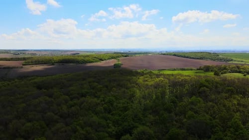 Aerial Landscape of Green Farmland in Summer Season with Growing Crops Agricultural Cultivated Field