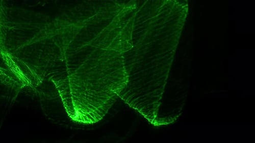 Glowing Green Strobe Light Against Black Background