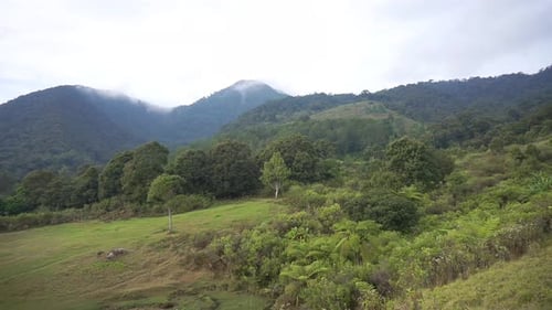 beautiful natural views of mountains, panoramic views of hills, and forests of tall green trees