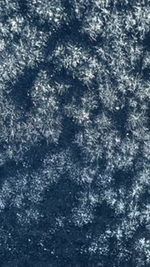 Elegant Close-Up of Freezing Ice Crystal Formation on Glass