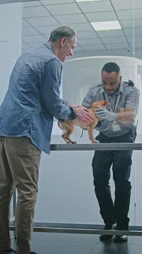 Airport Terminal TSA Officer Examining Dog Pet Inspection at Security Checkpoint