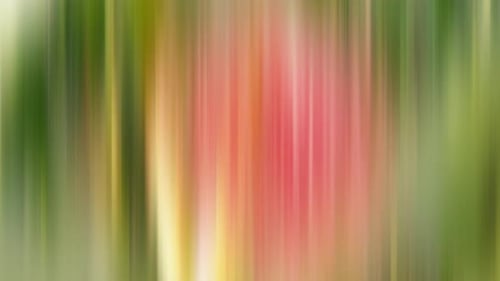 Abstract Vertical Color Flow Blurry Lines Looping Animation