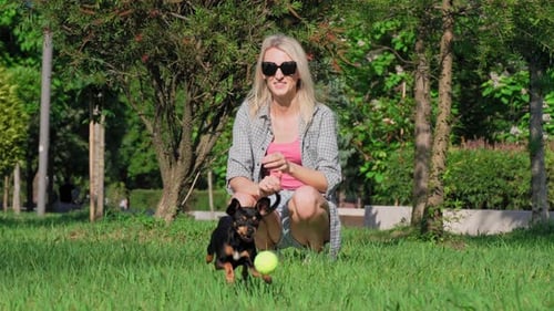 Woman Playing Fetch with Dog in Grassy Park
