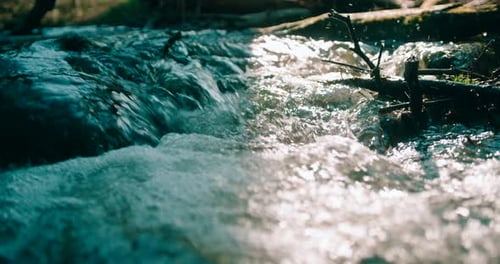 Nature- view of water stream flowing on rocks and the fallen wood log.