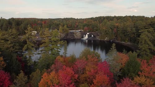Aerial view of a lake in a forest nature woodland area.