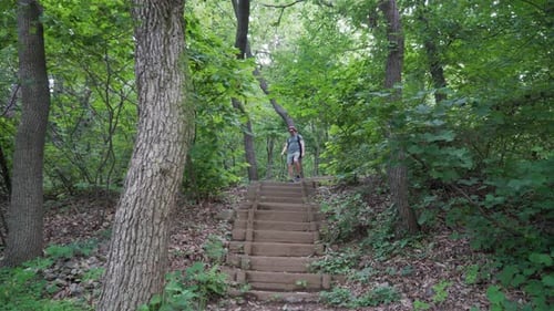 European tourist hiker walks down the wooden stairs following trail path, forest frees background w