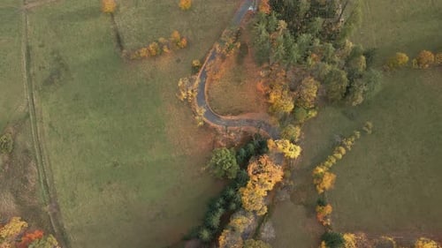Car Driving on Road Winding Through Colorful Autumn Forest