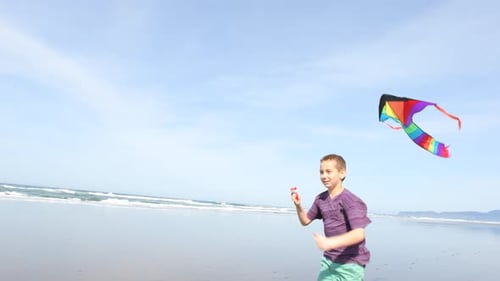 Young Boy Flying Kite at Beach Active