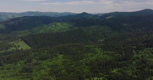 Aerial wide view showing vast mountain area covered in dense coniferous green forests, sunny day