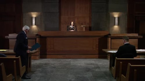 Lawyer Presents Evidence to the Judge in Courtroom