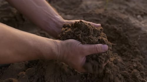 The Slow Movement of a Hand Lightly Touching the Clay Soil the Farmer Checks the Condition of the