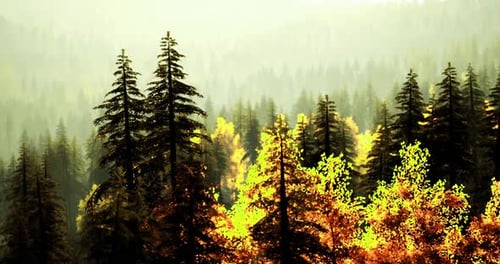 Autumn Forest Landscape with Vibrant Foliage and Misty Mountains