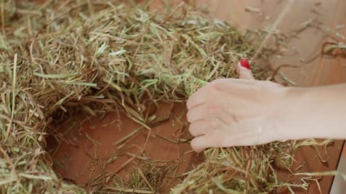 Hands Creating Hay Wreath with Twine Indoors