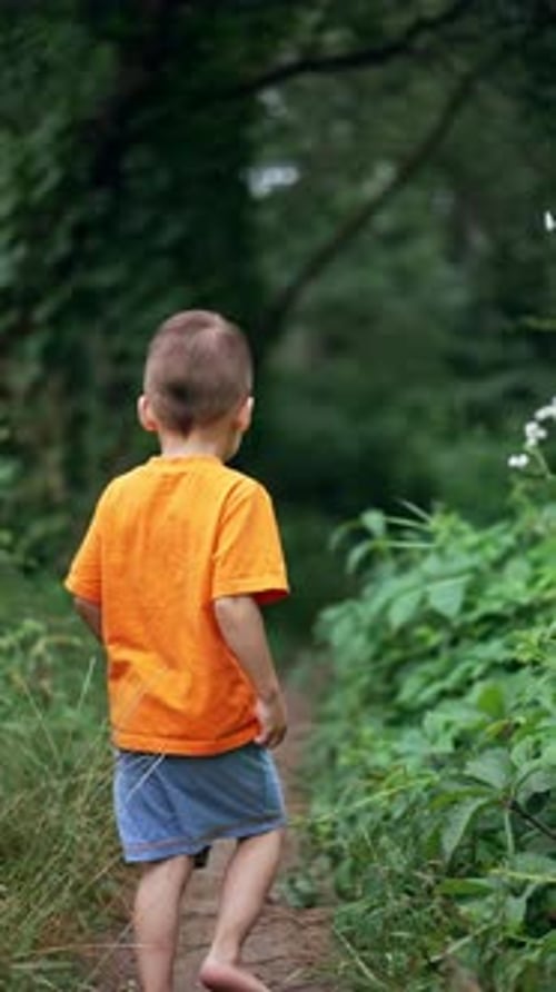 Boy Walks Barefoot on Forest Path on Sunny Day
