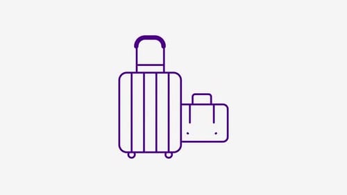 Animated Bags lcon