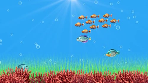 Schwarm kleiner Fische, die über buntem Seegras mit Sonnenlicht und Blasen unter Wasser schwimmen