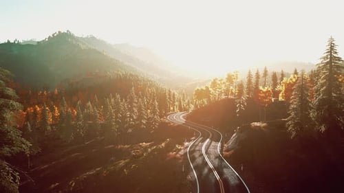 An Empty Road Winding Through a Serene Forest at Sunset