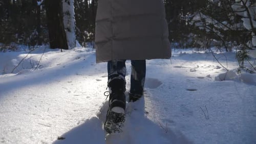 Unrecognizable Woman in Winter Clothes Walking Through Snowy Forest Stepping on Deep Snow Back View