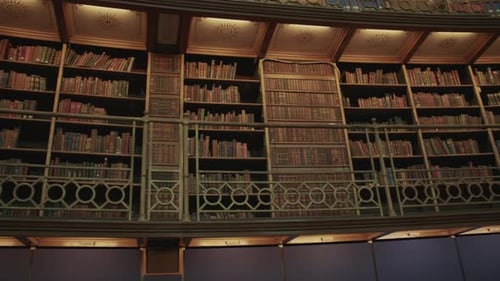 Elegant library shelves with old books and decorative railings under warm light.