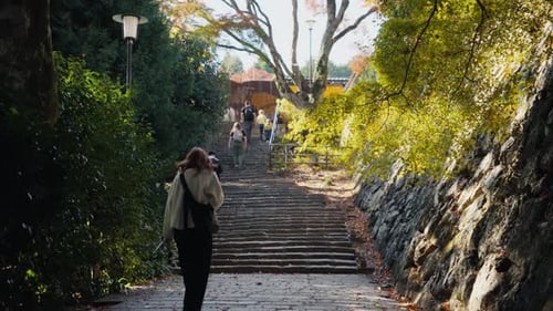 Woman Climbing Stone Stairs in Japanese Garden During Autumn