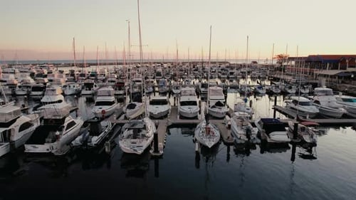A serene marina at dusk filled with numerous yachts and boats, reflecting on calm waters