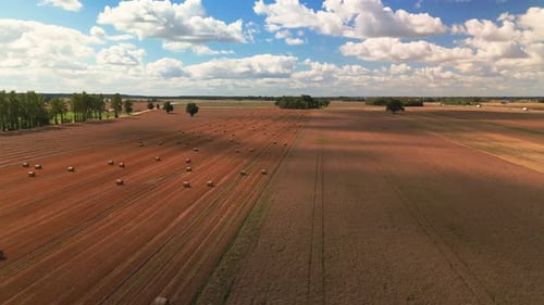 A wide aerial view of a harvested field with neatly arranged hay bales under a bright blue sky fille