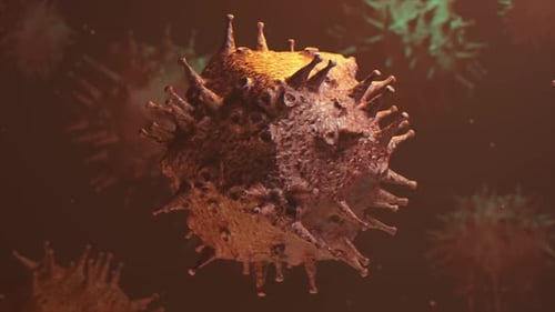 Detailed 3D Virus Cell Rotating Loop for Medical and Scientific Projects