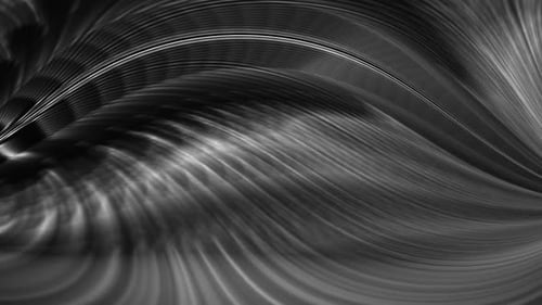 Fluid Monochrome Wavy Lines Abstract Motion Background