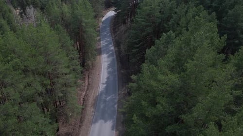 Winding Road Through Forest