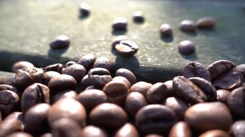 Close up of seeds of coffee 02