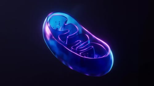 Mitochondrien mit dunklem Neonlichteffekt