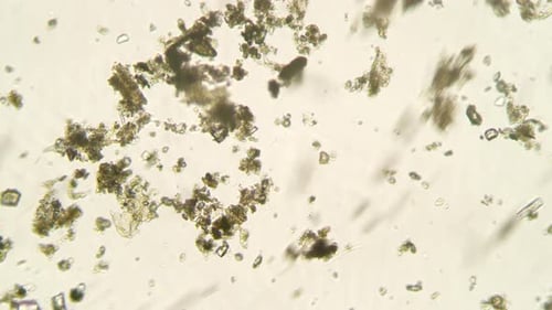 Contagion Collection: Microscopic crystals with a continuous flow