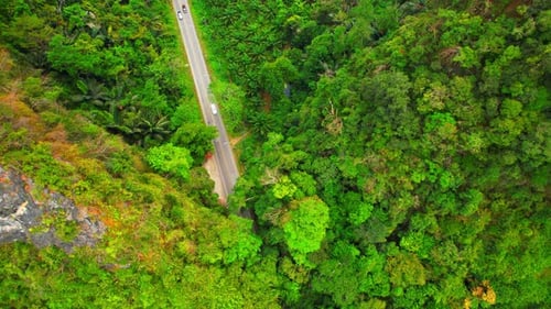 Trees tunnel road and limestone hills