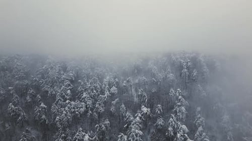 Montagnes enneigées et brouillard - 2K