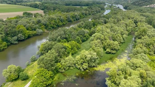 A serene view of a river surrounded by lush green forests and distant hills under a bright blue sky