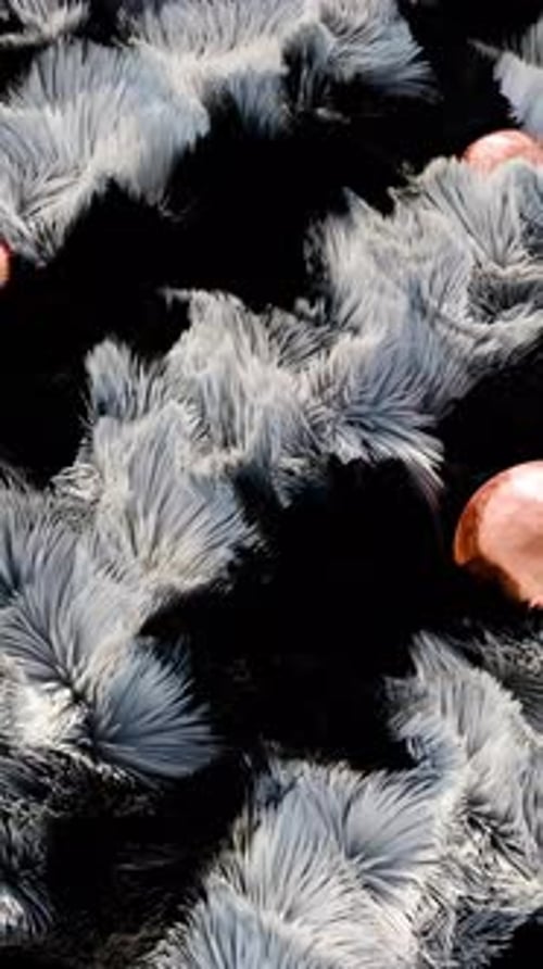 Abstract Organic Spikes and Shiny Spheres Background Loop