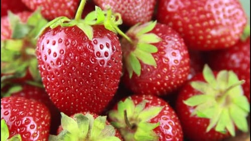 Fresh strawberries close up zoom lens berries
