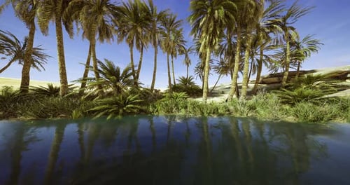 Tranquil Oasis with Palm Trees Reflecting in Calm Water During Bright Midday