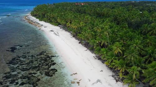Maldives Island Ocean Coastline with Tropical Beach with Palms Aerial Drone View