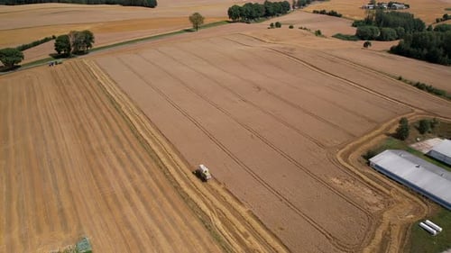 Aerial View Of Agricultural Combine Harvesting Rye On The Field - drone shot