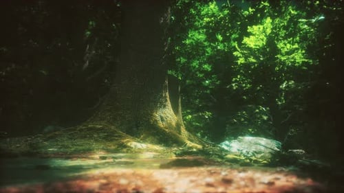 Tree Roots and Sunshine in a Green Forest