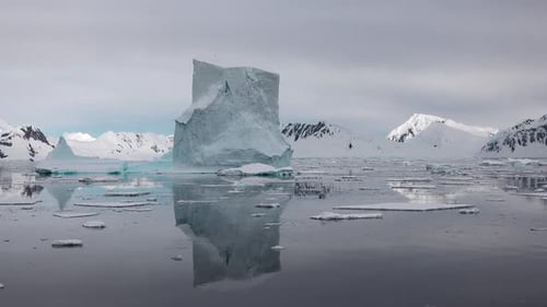Breathtaking views of floating icebergs. Majestic mountain reflect in a tranquil arctic landscape.